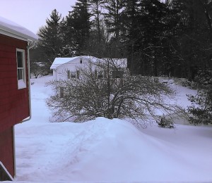 snow Jan 2015